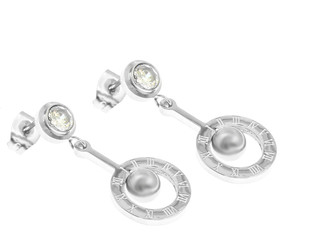 Jewelry, ladies earrings. Stainless steel