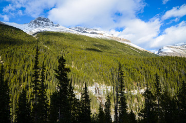 秋のカナディアンロッキー　パンサー滝　アイスフィールド・パークウェイ沿い（カナダ・アルバータ州）