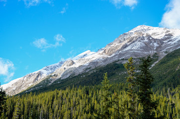 秋のカナディアンロッキーの山並み（黄葉なし）　ーアイスフィールド・パークウェイにて（カナダ・アルバータ州）