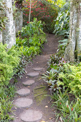 A Garden Path