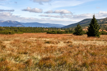 view from mountains in National Park Krkonose
