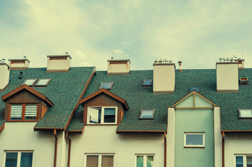 Roof of the house, green color, chimneys, skylights