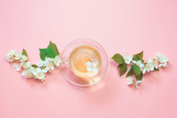 Jasmine flowers and cup of green tea on pink. Top view and concept.