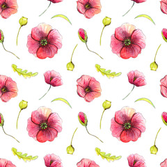 Seamless pattern with poppies on a white background