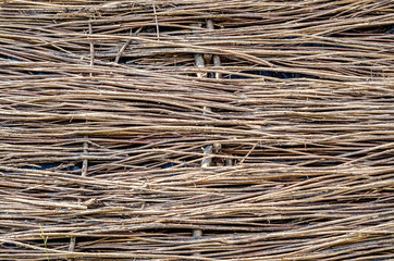 Large wicker hedge from thin branches. Natural background