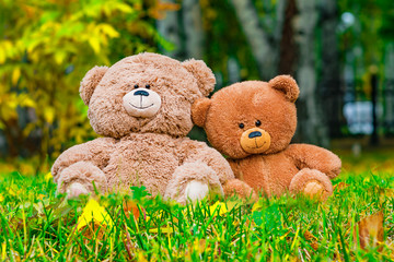 Two Teddy bear toys on autumn natural background
