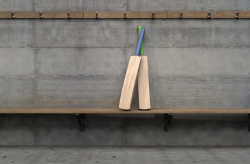 Cricket Bat In Change Room