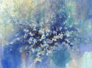 A sakura flowering in the night rainy watercolor background. © Egle