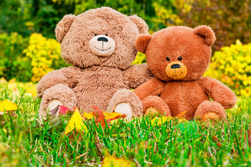 Two Teddy bear toys on autumn natural background
