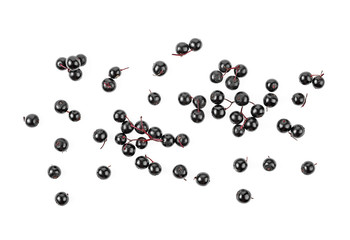 Elder berries isolated on a white background, top view.