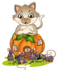 A cat looking at mouse