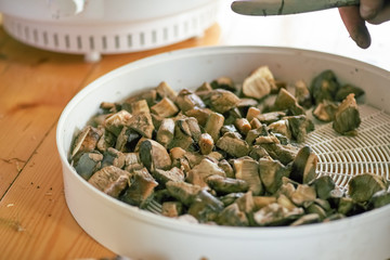 Sliced fresh mushrooms on a pallet of an electric vegetable dryer