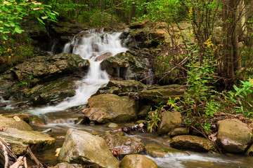 Fresh Water Stream Flowing Swiftly Over Rocky Forest Landscape
