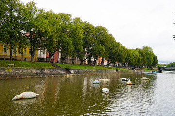 Aura River in Turku In Summer