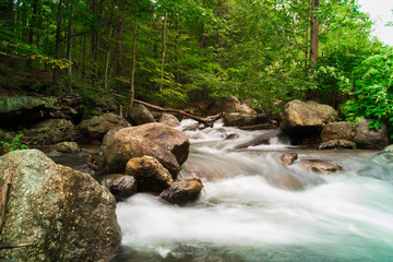 Fresh Water Stream Flowing Swiftly Over Rocky Forest Landscape