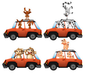 Fototapeta premium A set of animal on car