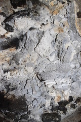 texture roche