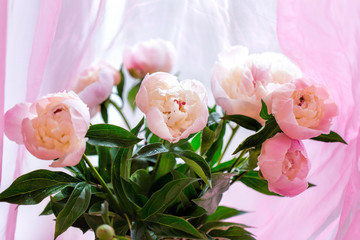 Bouquet of pink roses
