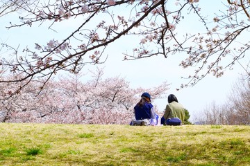 【四季】春の風景