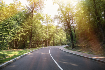 Fototapeta premium Asphalt road in park on sunny day