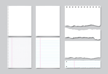 Set of vector realistic white paper, lined notebook pages and pieces of torn paper with shadow