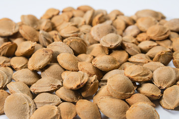 apricot seed