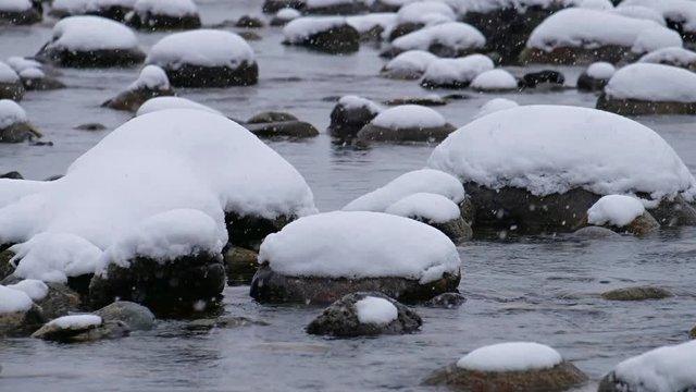 Stones with snow caps in the water of Altai Biya river under heavy snow in winter season