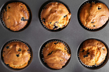 Tasty blueberry muffins in baking tin