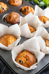 Tasty blueberry muffins in baking tin