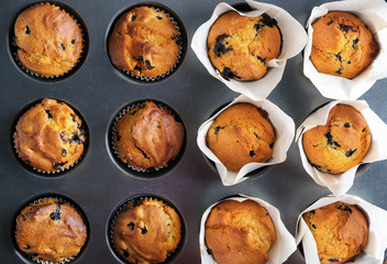 Tasty blueberry muffins in baking tin