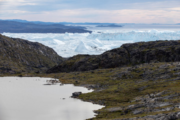 Fototapeta premium Greenland | Ilulisat