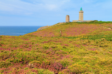 Fototapeta na wymiar Beautiful landscape view of the cliffs at Cap Fréhel in Brittany, France, with its lighthouses and moorland with vibrant heather flowers (Calluna vulgaris) and common gorse (Ulex europaeus)