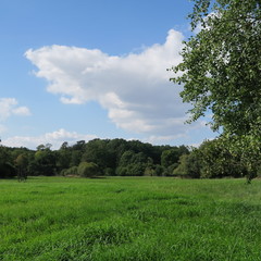 Obraz premium lonely landscape, of course, mecklenburg-western pomerania, loitz, demmin
