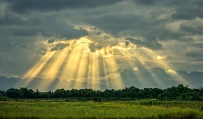 Sunbeam in cloudy sky over rice fields and mountain background : Thailand