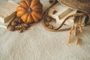 Old books and vintage straw bag on white warm plaid with pumpkin, physalis, acorns, walnut. Autumn books and reading. autumn mood