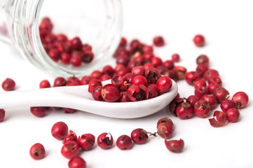 closeup of Red peppercorn aroma condiment in porcelain spoon on white background