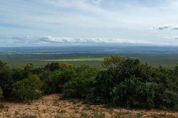 Lookout point over the green field