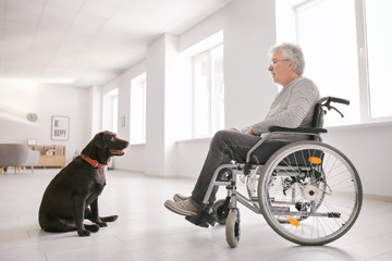 Senior man in wheelchair with his dog at home