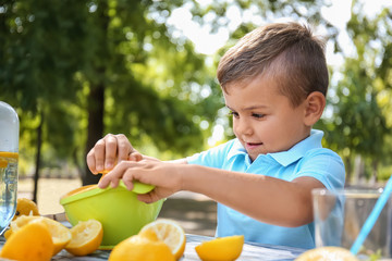 Little boy preparing fresh lemonade in park © Pixel-Shot
