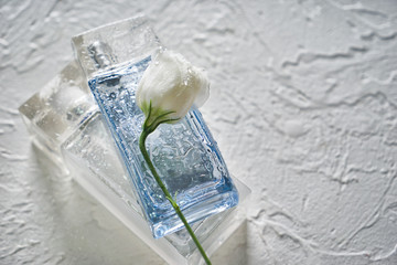 Bottles with perfumes and flower on light textured background