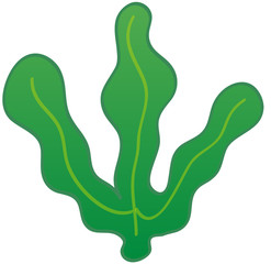 海藻