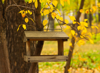 Bird feeders in park