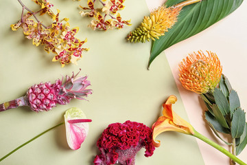 Beautiful tropical flowers on color background