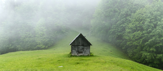 Alone cabin in the woods. High resolution panorama. Landscape photography