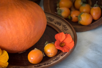 Autumn still life with big pumpkin and persimmon.