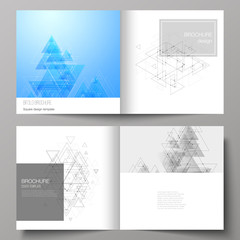 Fototapeta na wymiar The vector illustration of layout of two covers templates for square design bifold brochure, magazine, flyer. Polygonal background with triangles, connecting dots and lines. Connection structure.