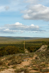 Clearly marked ground road