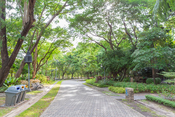 Road in the beautiful park