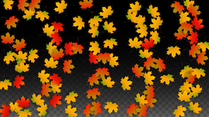 September Vector Background with Golden Falling Leaves. Autumn Illustration with Maple Red, Orange, Yellow Foliage. Isolated Leaf on Transparent Background. Bright Swirl. Suitable for Posters.