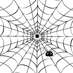 Obraz premium Spider web with cute spider